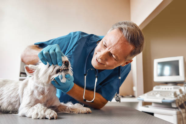 Best Emergency Tooth Extraction in Oak Grove, KY